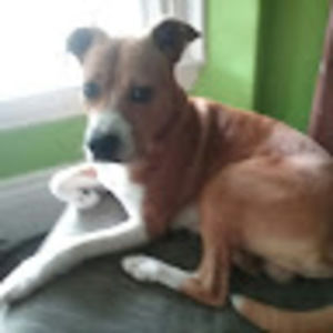 Meet your Posher, Mandie